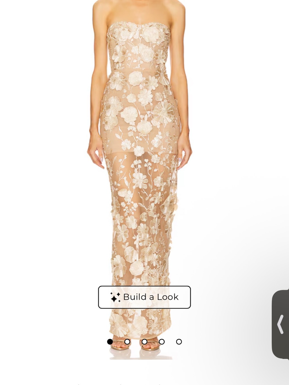 Bronx and Banco NWT 3D Champagne Floral Gown